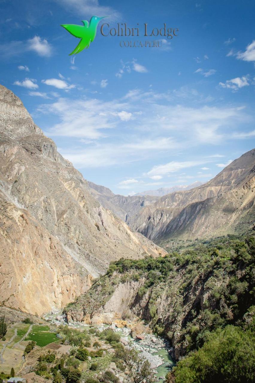 Colibri Lodge Tapay Dış mekan fotoğraf